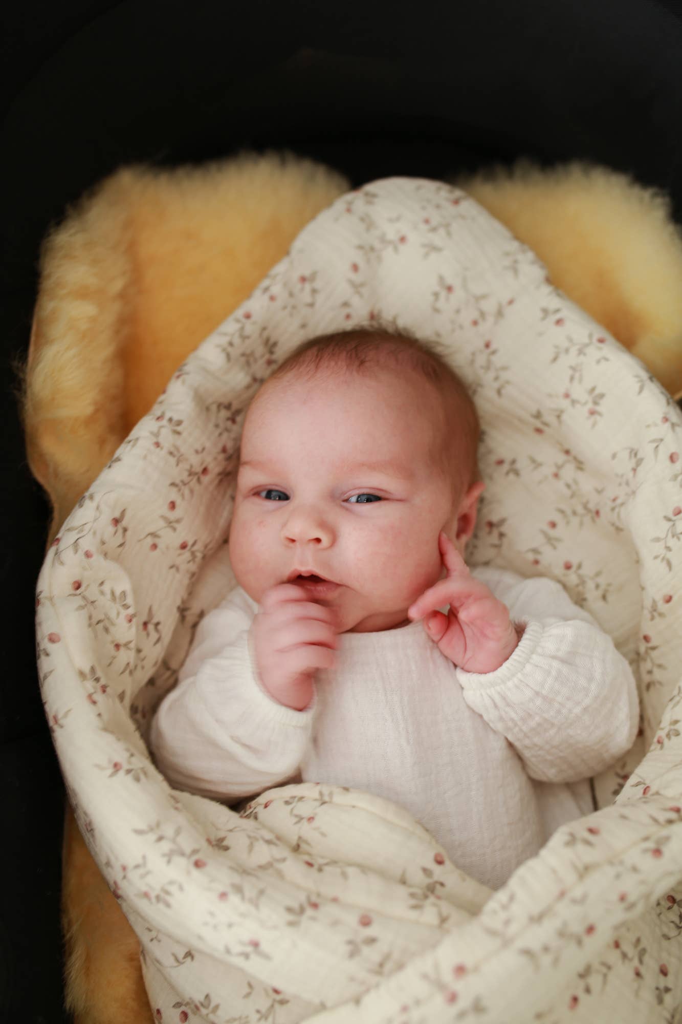 Babyly babyfilt - Twiggy Dream